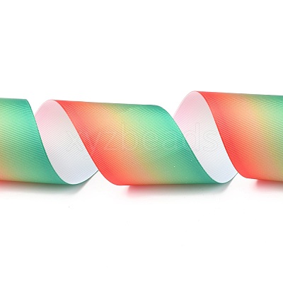Gradient Rainbow Polyester Ribbon OCOR-G008-04B-1