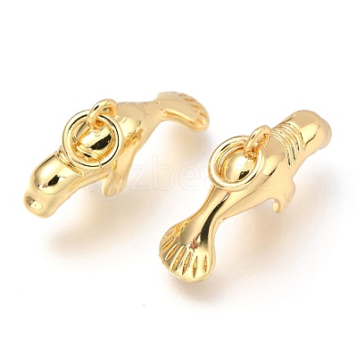 Brass Pendants X-KK-Z014-01G-1