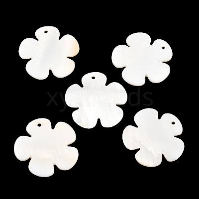 Shell Pendants PBB180Y-1