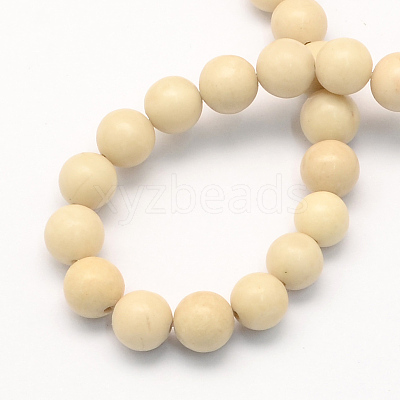 Natural Fossil Round Beads Strands X-G-S171-6mm-1