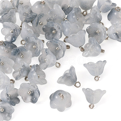 38Pcs Glass Charms GLAA-TADJ0001-19D-1