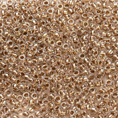 TOHO Round Seed Beads SEED-JPTR15-0989-1