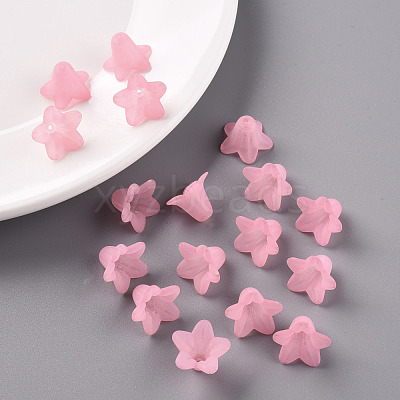 Transparent Acrylic Beads PLF018-02-1