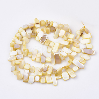Freshwater Shell Beads Strands SHEL-S274-40K-1