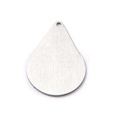 Tarnish Resistant 304 Stainless Steel Pendants STAS-F271-05F-P-1