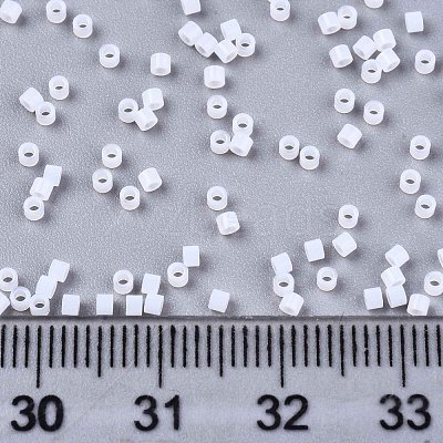 FGB 11/0 Grade A Glass Seed Beads X-SEED-S030-1141-1