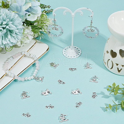 100Pcs 2 Styles Alloy Pendants FIND-SC0021-89AS-1