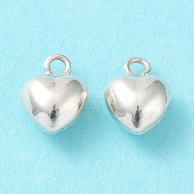 925 Sterling Silver Charms STER-H106-01C-S-1