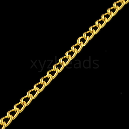 Unwelded Iron Curb Chains CH-R078-08G-1