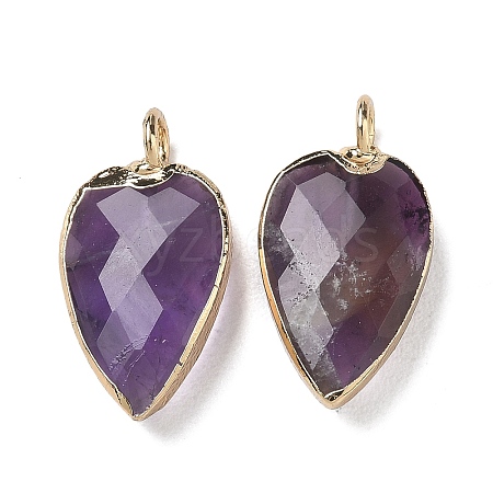 Natural Amethyst Pendants G-G012-13G-07-1