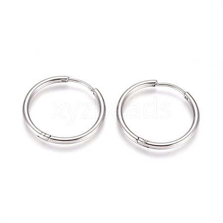 304 Stainless Steel Huggie Hoop Earrings EJEW-G272-02-20mm-P-1