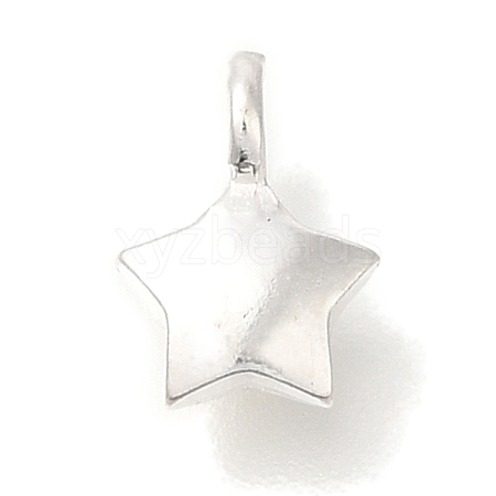 925 Sterling Silver Charms STER-G043-05A-S-1