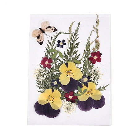 Pressed Dried Flowers DIY-YWC0001-96-1